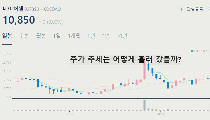 일라이릴리 치매치료제 관련주 대장주 TOP10