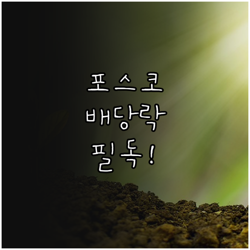 포스코홀딩스 배당 투자를 위한 매수 ..