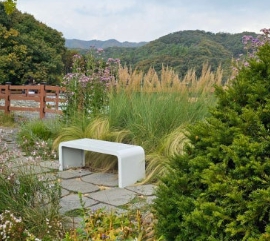 용인/새로운/인기/핫플/용/자작나/숲