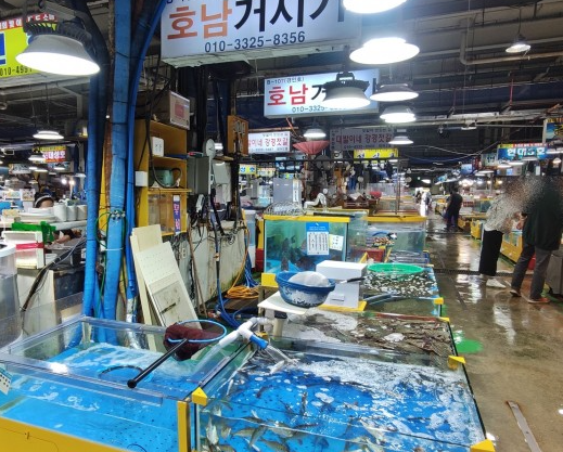 호남거시기