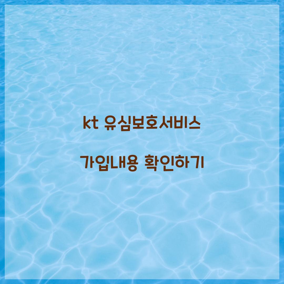 kt 유심보호서비스 가입내용