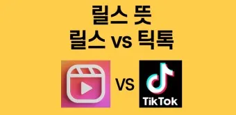 릴스 뜻 릴스란 의미 유래_10