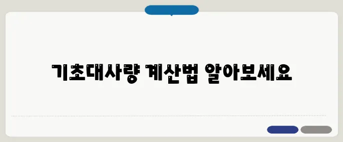 기초대사량 계산기 사용법