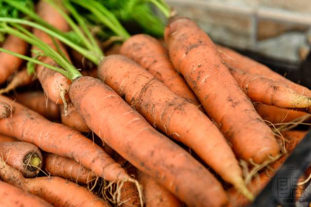 속이 편한 음식,장에 좋은 음식 당근,과민성대장증후군 치료 음식