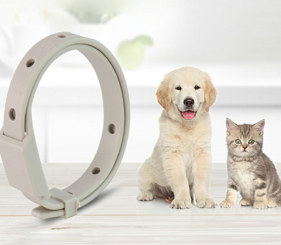 강아지 진드기 기피제 목걸이 추천