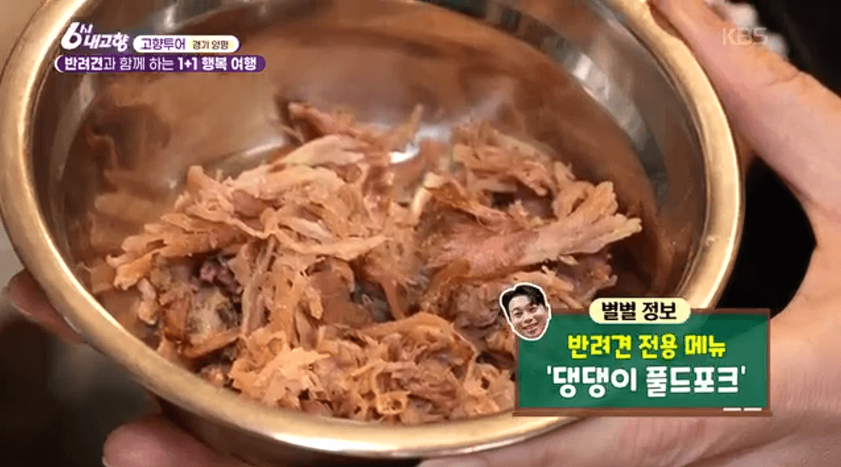 [6시내고향]경기 양평 애견동반 바베큐&middot;정원카페&middot;산악 액티비티 &amp;#39;바베큐레이브 더그림 엑스라이프&amp;#39; 예약 위치 연락처 정보