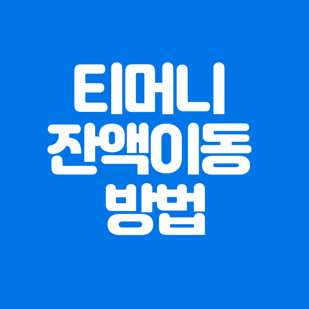 티머니 잔액이동 방법
