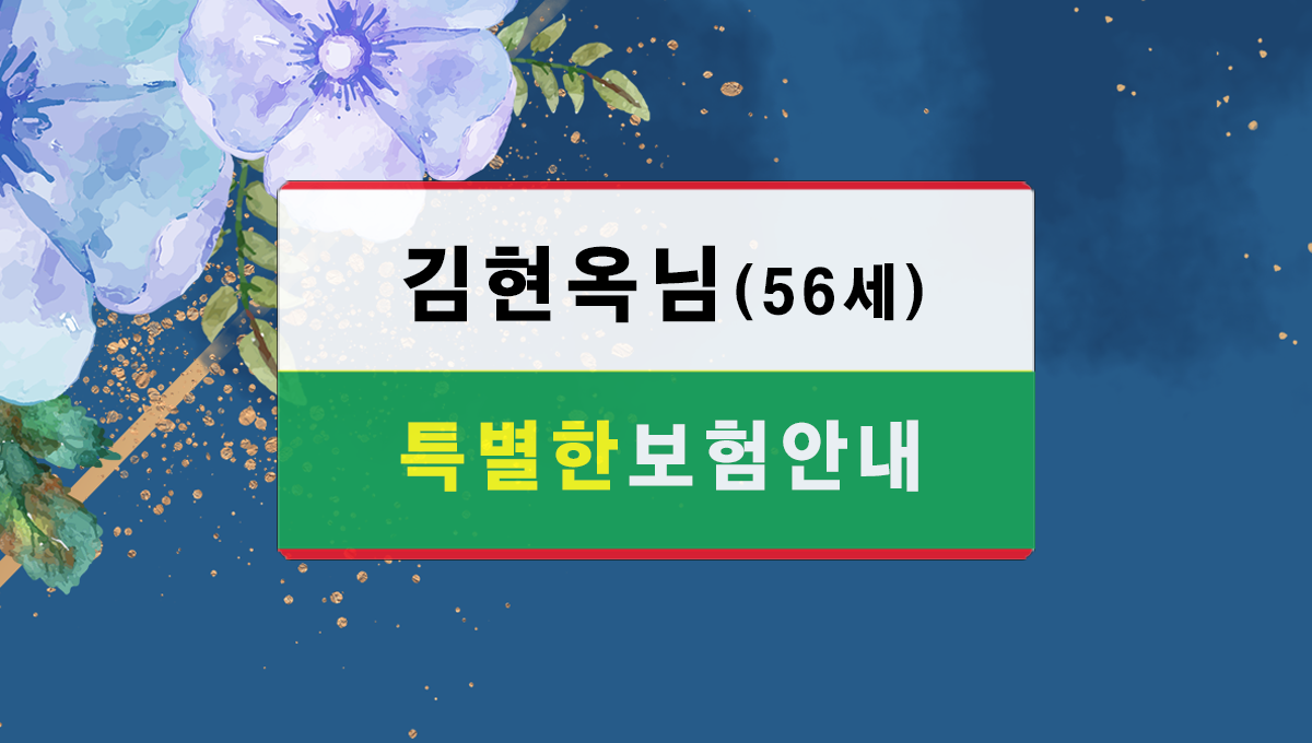 전문가의보험안내