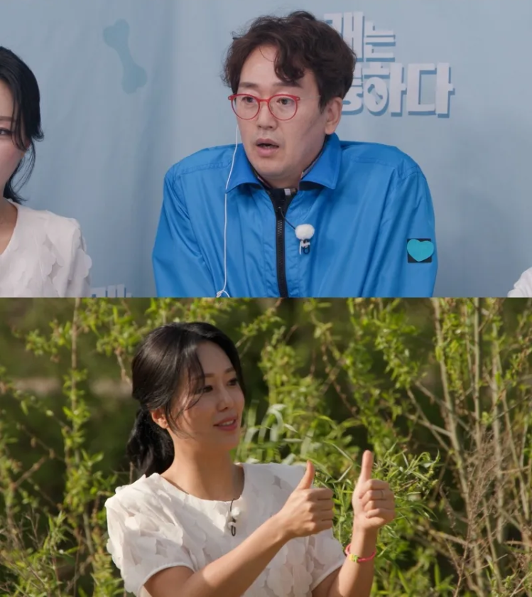 개훌륭 진돗개 이쁘니