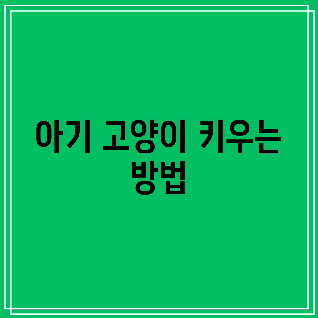 아기 고양이 키우는 방법