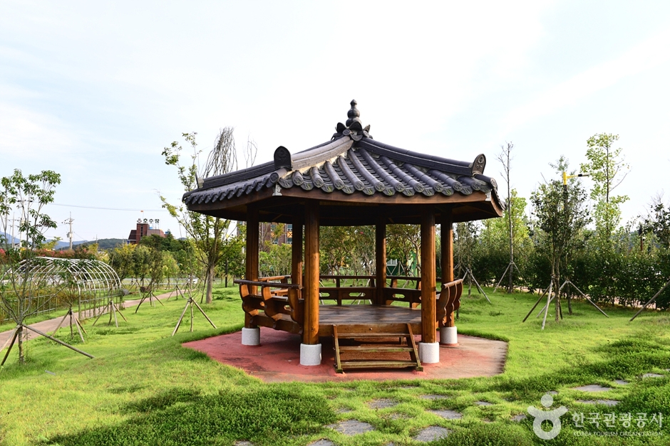 장성 가볼만한곳 베스트 10