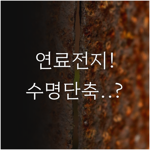 수소차 연료전지 스택 열화: 촉매 손..