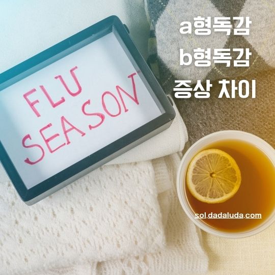 a형독감 b형독감 증상 차이 격리기간 