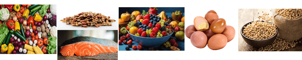 뇌건강에-좋은-음식