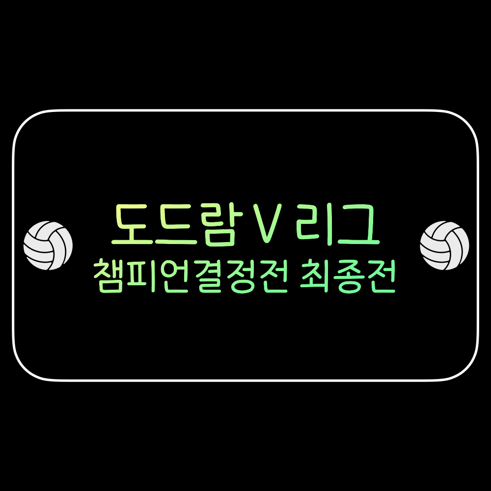여자배구_챔피언결정전_최종전