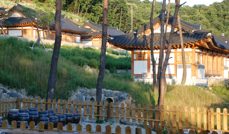 속리산 숲체험휴양마을