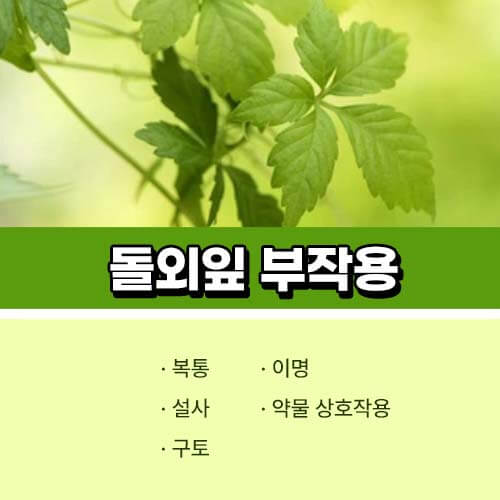 돌외잎 부작용