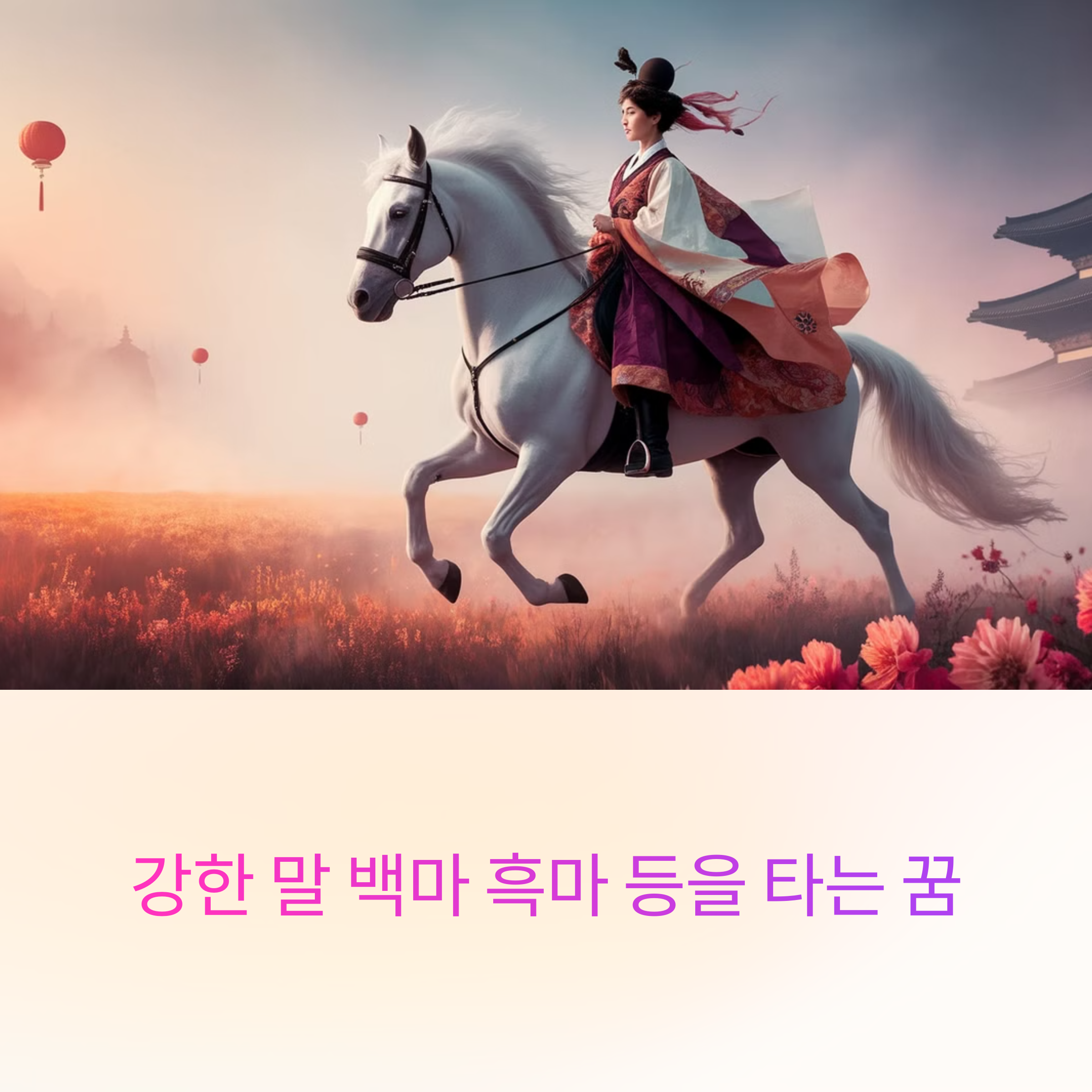 강한 말 백마 흑마 등을 타는 꿈