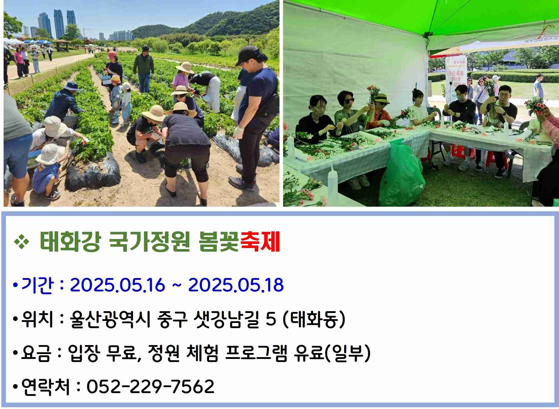 태화강 국가정원 봄꽃축제