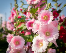 어린이날 축제 BEST 5, 국내여행지 추천