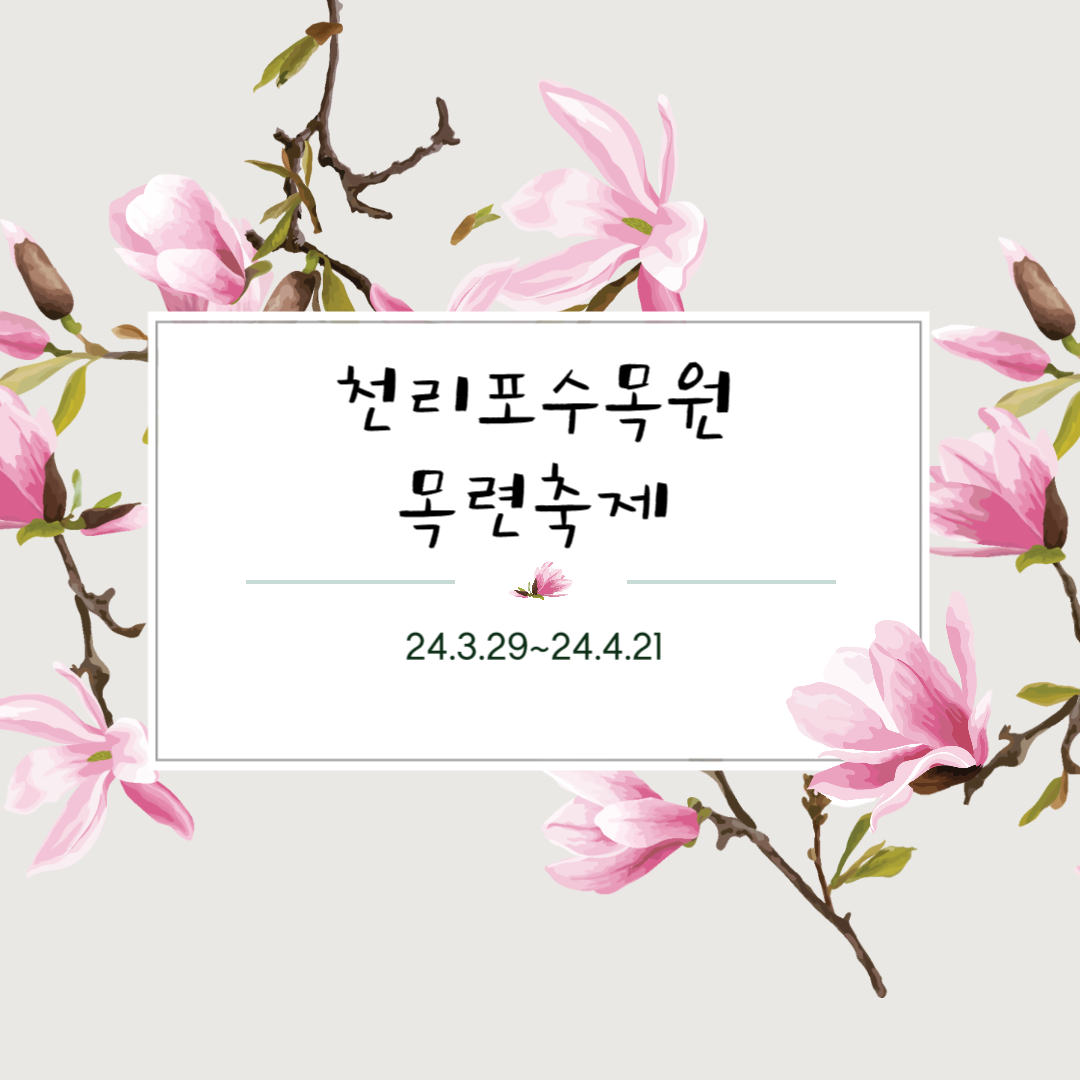 천리포수목원 목련축제