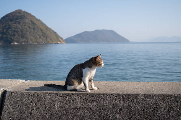 기차·버스·비행기 이동 시 주의사항