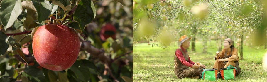 고택얼음굴솨과