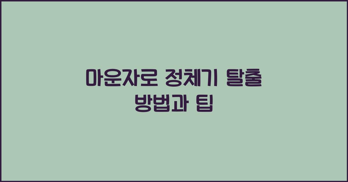 마운자로 정체기