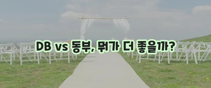DB 실비보험 동부화재 실비보험 혜택 비교가 중요하죠