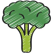 브로콜리 씻는 방법