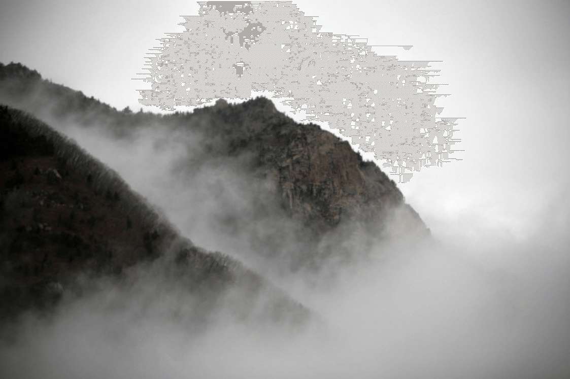 국립 용대자연휴양림