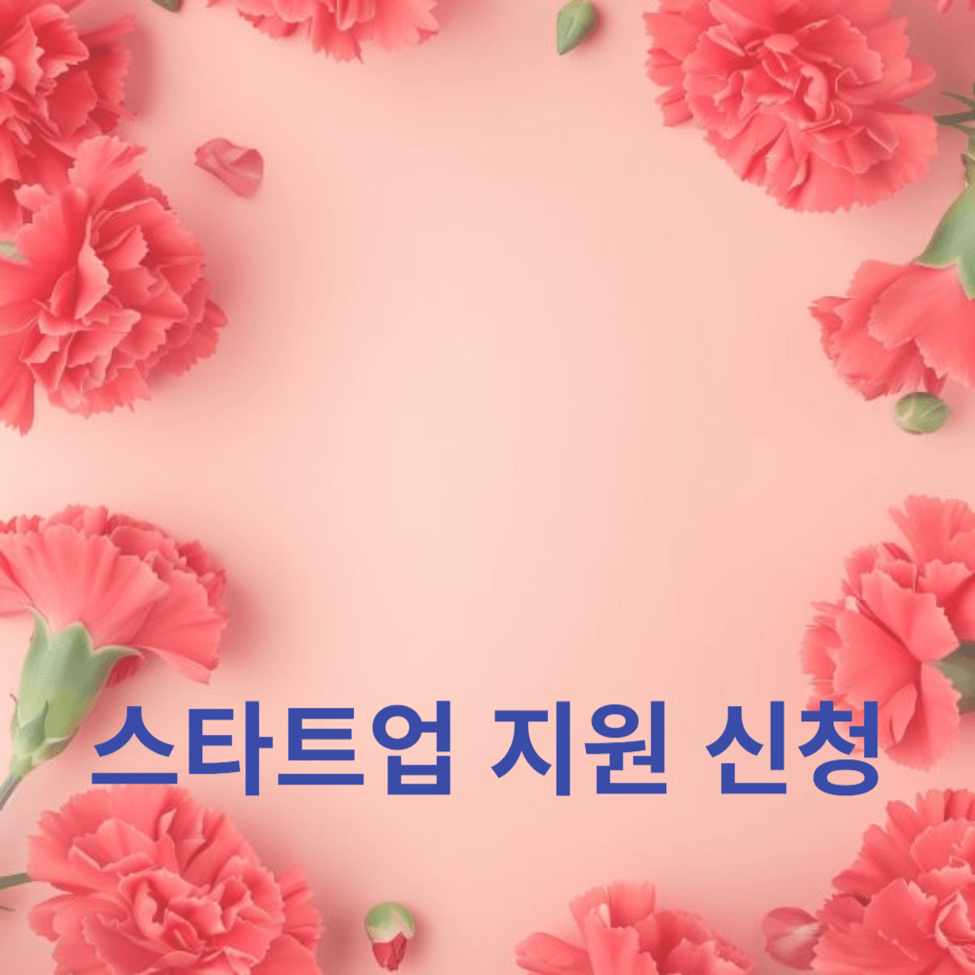 스타트업 지원 신청