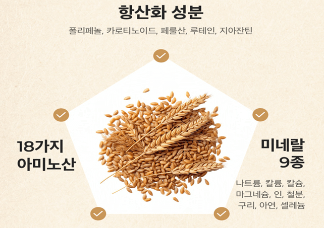 파로곡물효능