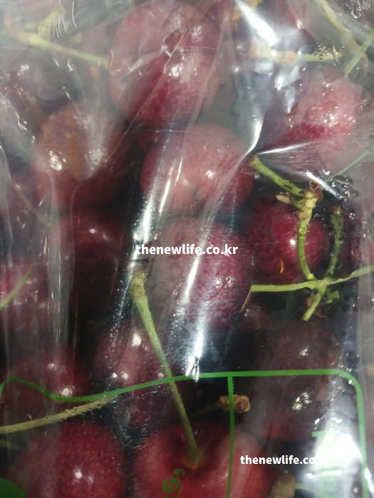 수치가 GI 22으로 가장 낮아 혈당 관리에 권장되는 GI 당지수 낮은 음식 체리 실물