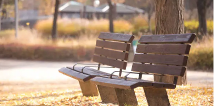 반려견과 함께 공공시설 추천