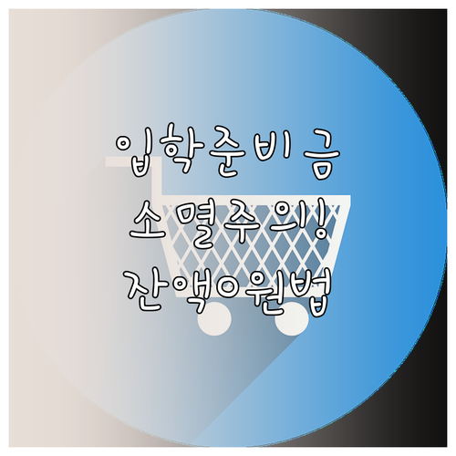 입학준비금 포인트 소멸 전 잔액 0원..