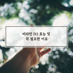 비타민 D 우리몸에 필요한 이유