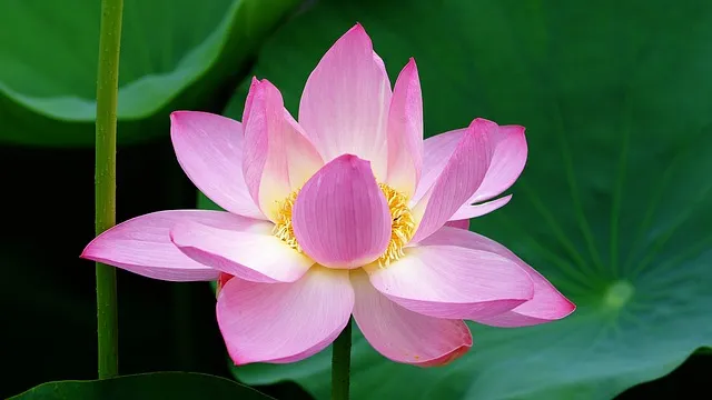 시흥 가볼만한곳 베스트10 여행 코스 맛집_3