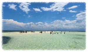 보홀 버진 아일랜드