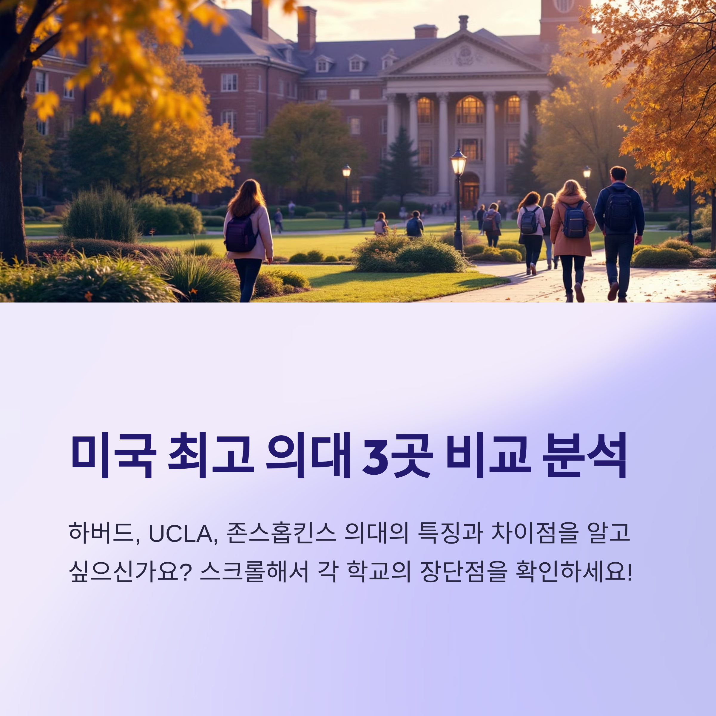 미국의대