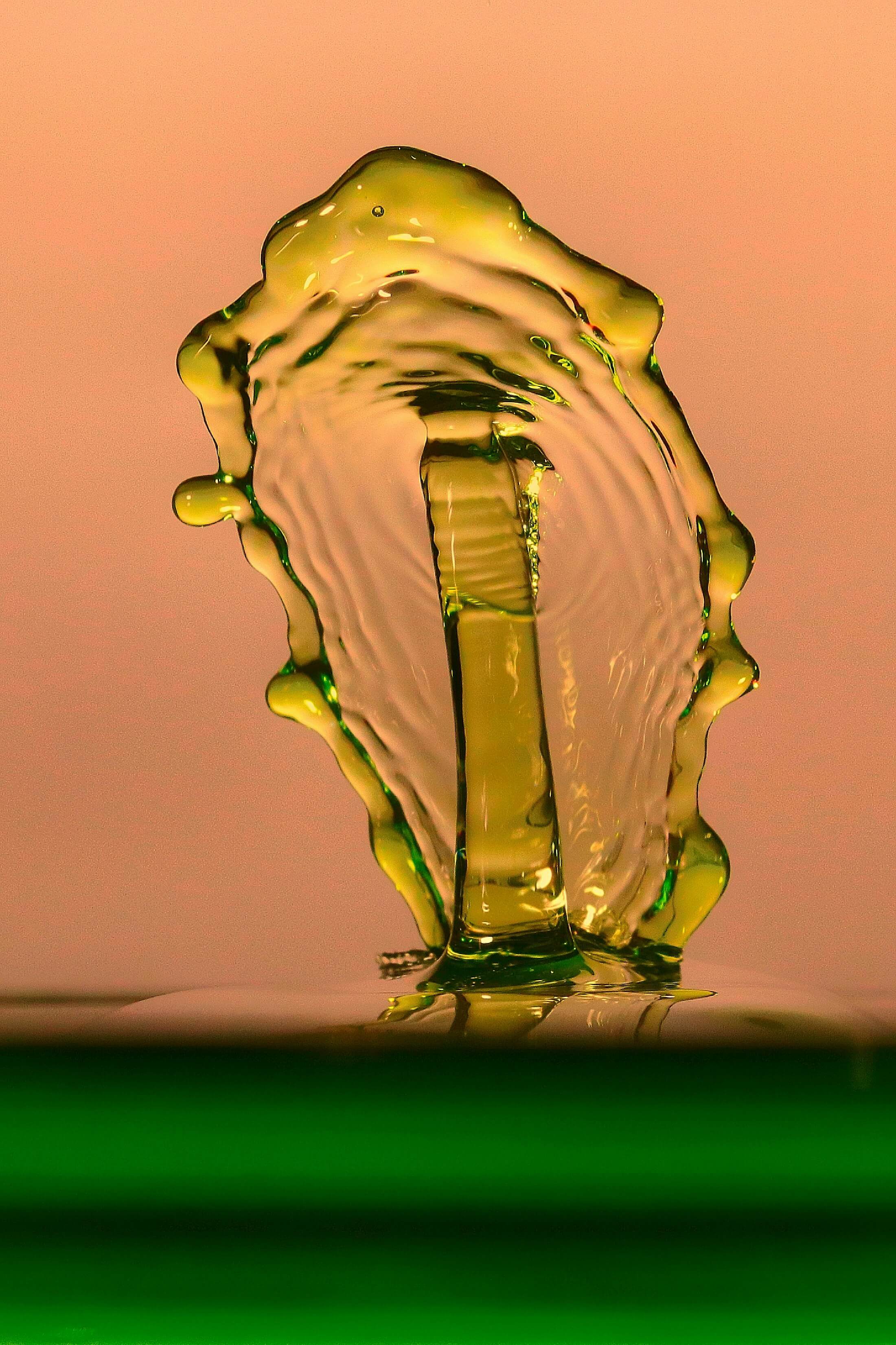 게걸무 씨앗 오일