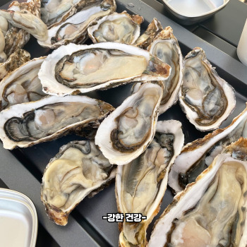 굴 효능