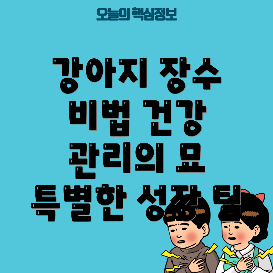 장수 강아지