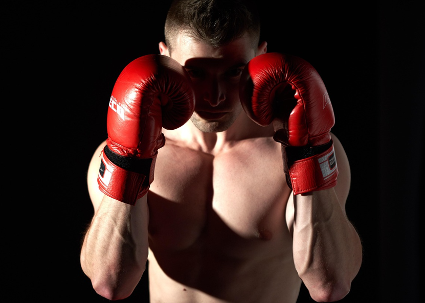 복싱 스포츠 권투 복서