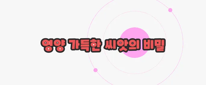 해바라기 씨 효능 한번 체크해보죠