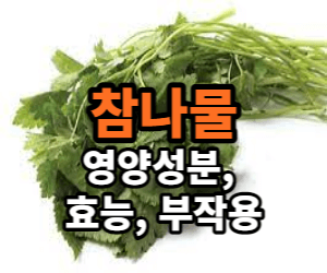 참나물