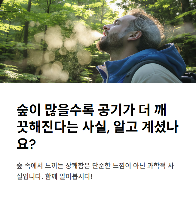 숲이-많으면-공기가-더-깨끗해질-수-있다