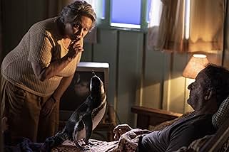 브라질 가족 영화다시보기추천 나의 펭귄 친구 딘딤 결말 후기 리뷰 - 호평과 혹평