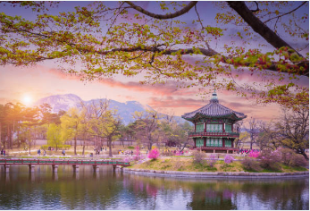 벚꽃 개화시기