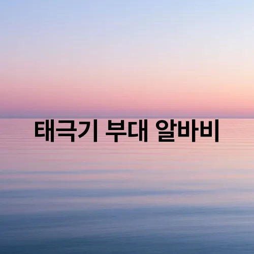 태극기 부대 알바비